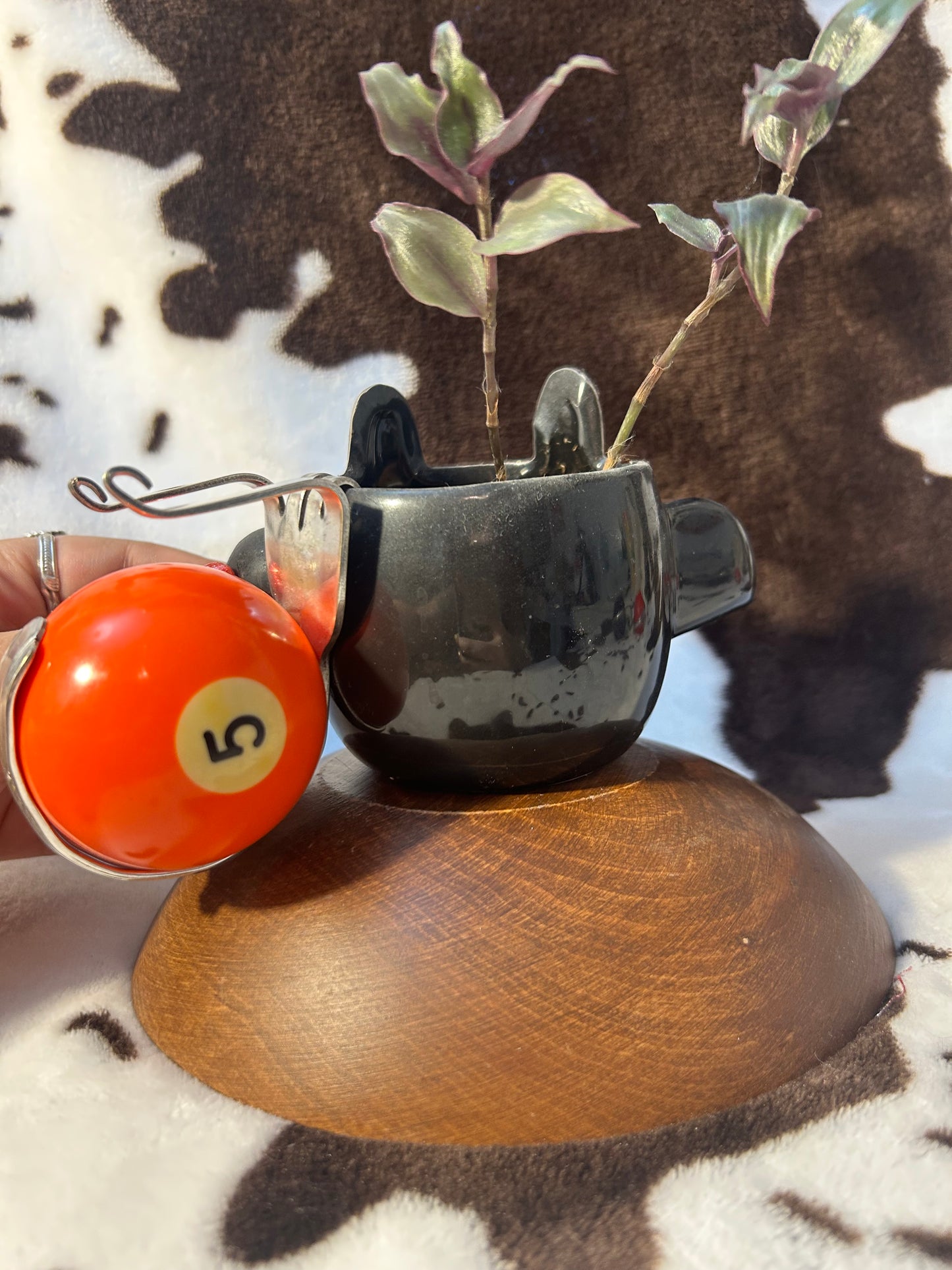 Orange Plant Snail