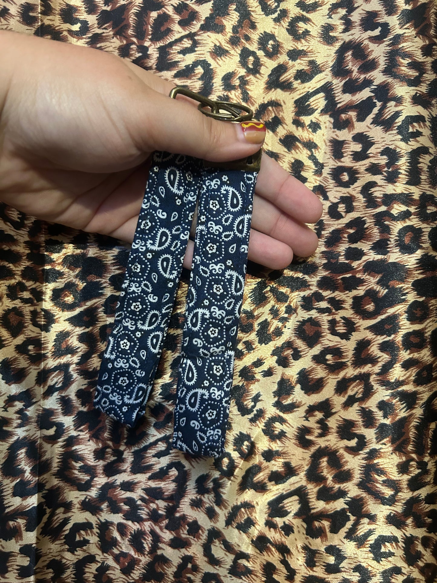American picnic Keychain