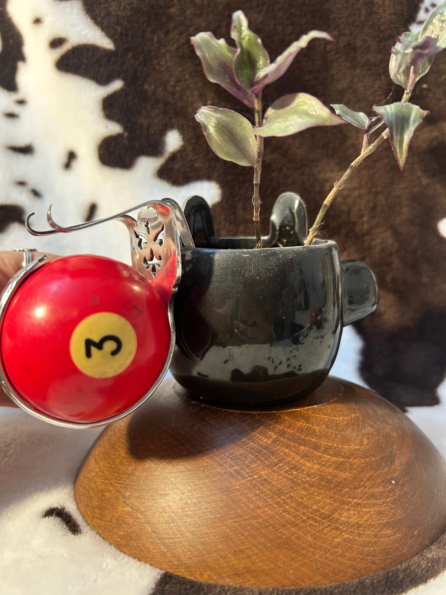 Red Plant Snail